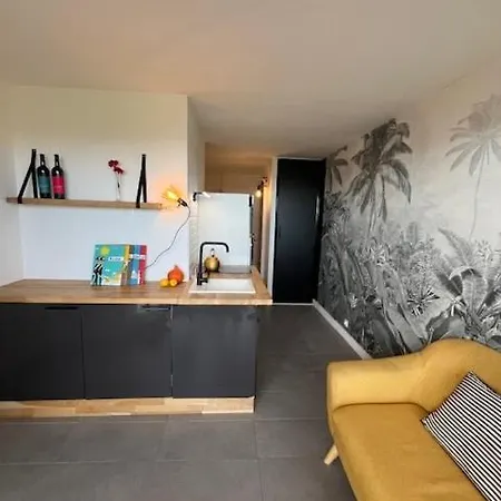 Frontline With Sea View Apartament Agde